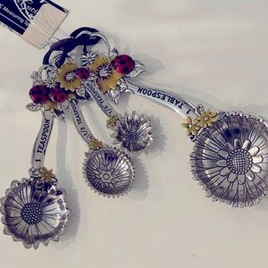 La Cucina Lady Bug set of 4 Measuring Teaspoons